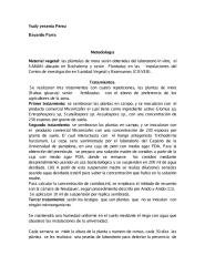 Micorrizas.pdf